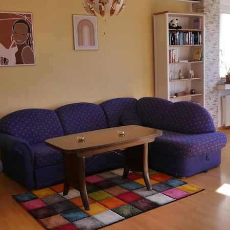 Grosszugige Wohnung Mit Herkulesblick Nahe Uni Kassel Zewnętrze zdjęcie